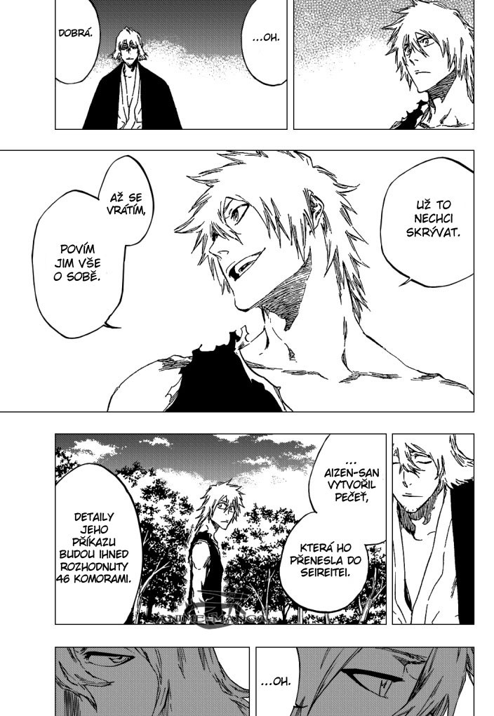 bleach-ch422-11 kopie.jpg